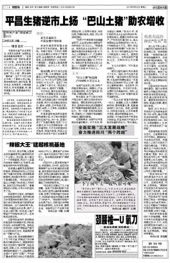 收入证明_卖树收入计入什么