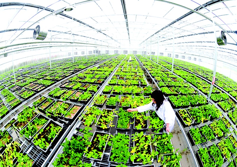 3s技术 精细农业_3s技术在农业中的应用_3s技术在