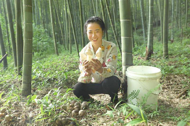 竹+菌+药 种出亿元级粮库 第03版:区域观察 20250717期 四川农村日报