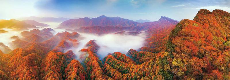 浙川协作聚智赋能 农旅融合向新而行