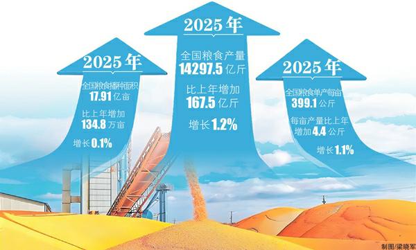 14297.5亿斤！今年粮食再获丰收