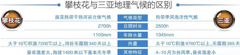 “南繁备份”基地落地米易