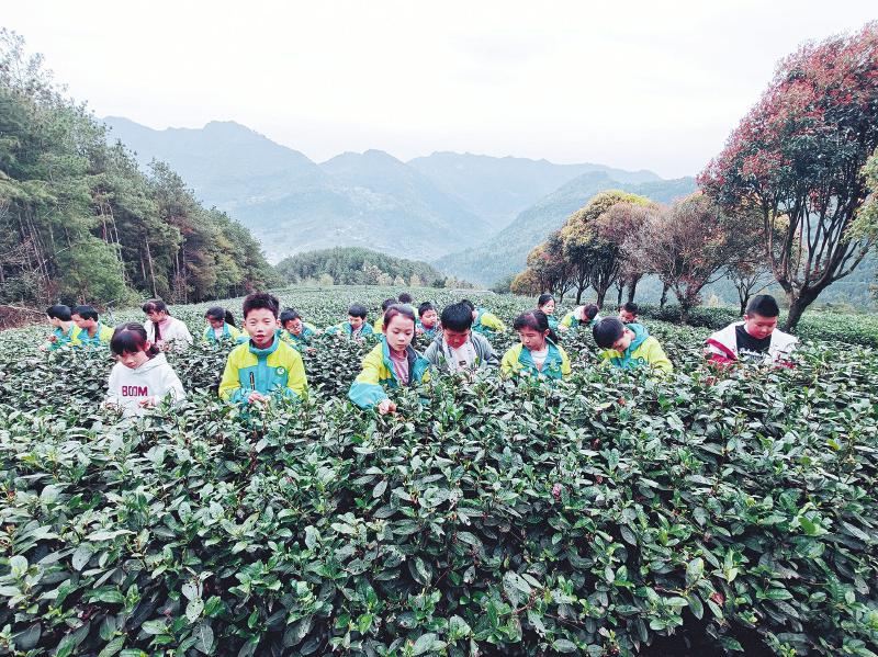 旺苍：立足“红色＋茶乡”双重资源推动农文旅融合