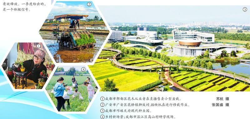 三张拼图 拼出四川“三农”向上力