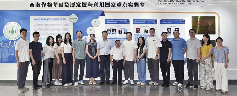 重要突破！川农大陈学伟团队揭秘农作物与病原菌的“暗战”