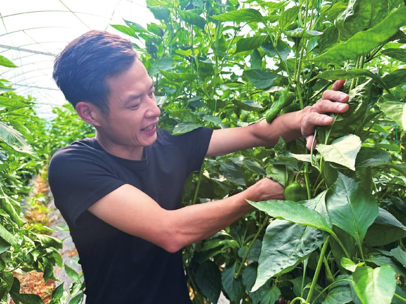 大英县：唤醒“沉睡”资产  算的不只是租金账