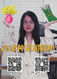 m_676952736e53df49bf99d39e560b6cd7.jpg