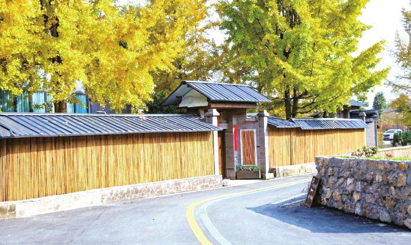 共建未来理想乡村的“寿安路径
