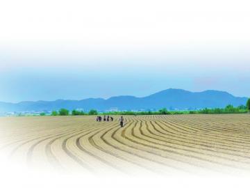 三台：打好“土地组合拳”  激活乡村振兴“一池春水”